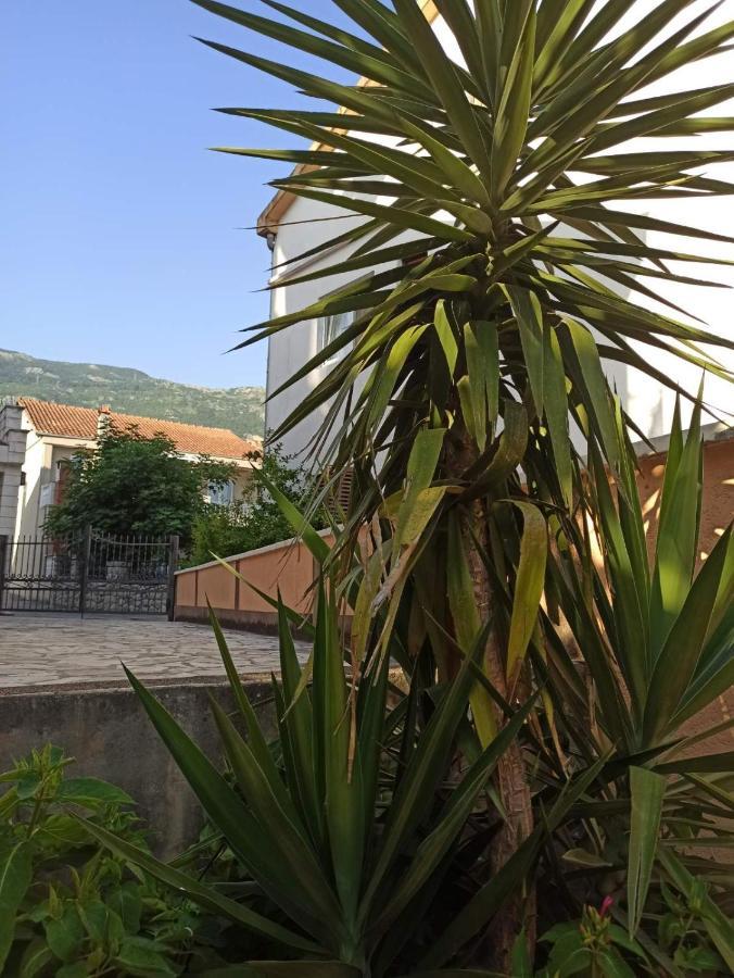 Apartments Parapid Μπούντβα Εξωτερικό φωτογραφία