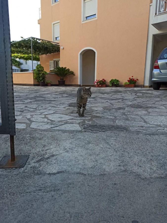 Apartments Parapid Μπούντβα Εξωτερικό φωτογραφία